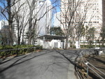新宿区立新宿中央公園（北） - 写真:3