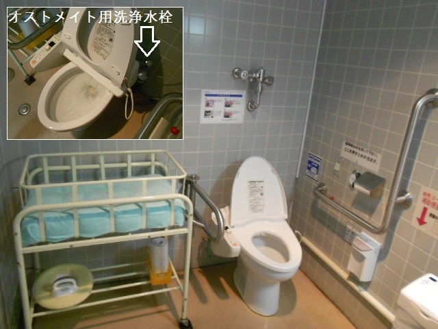 新宿区新宿コズミックスポーツセンター 文化 レジャー施設 の 多目的トイレ 詳細 多目的トイレ バリアフリー 多機能 トイレ
