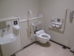 日本大学病院（御茶ノ水） - 写真:1