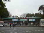 上野動物園（東園） - 写真:4