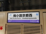 JR梅小路京都西駅 - 写真:9