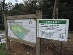 埼玉県 こども自然公園 散策路・クロスカントリーコース - 写真:5