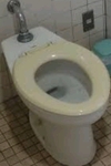 赤塚山公園　アニアニまある横旧多機能トイレ - 写真:2