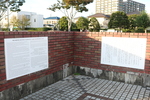 伊藤左千夫記念公園 - 写真:7